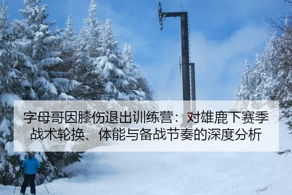 字母哥因膝伤退出训练营：对雄鹿下赛季战术轮换、体能与备战节奏的深度分析